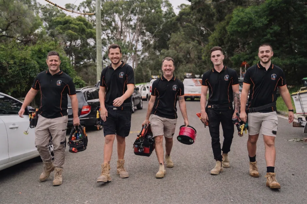 Professional electrical services in Winston Hills